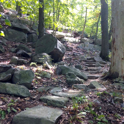 MANITOGA TRAILS