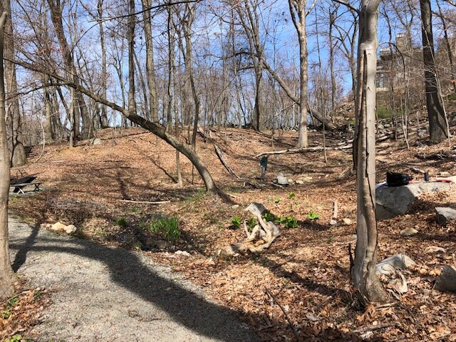 Vernal Pool 1.jpg