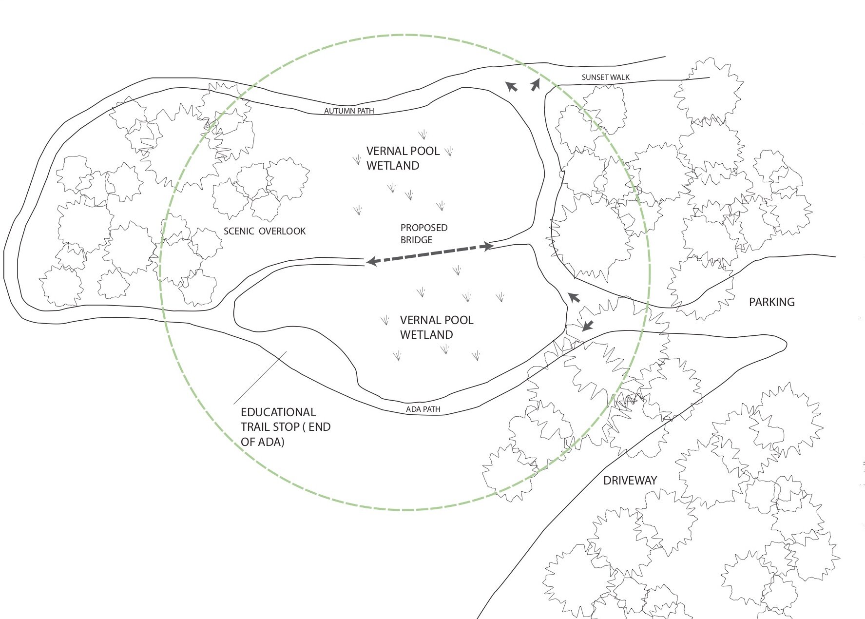 Vernal Pool_Site Plan.jpg