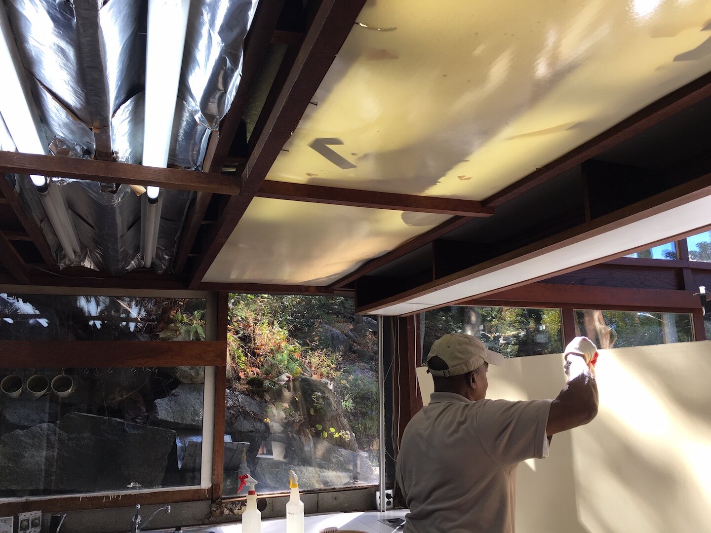 CEILING PANEL cleaning.jpg