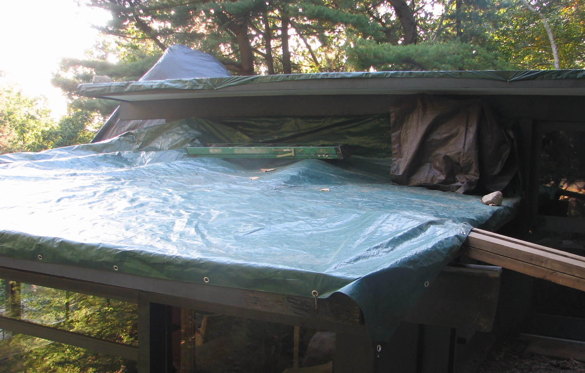 Green Roof_tarped.jpg