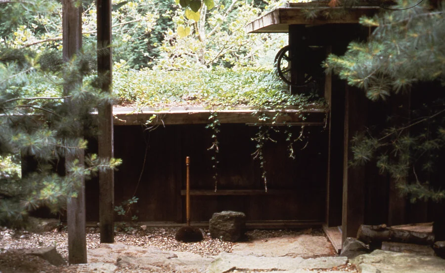 GREEN ROOF 1982 SMALL.jpg