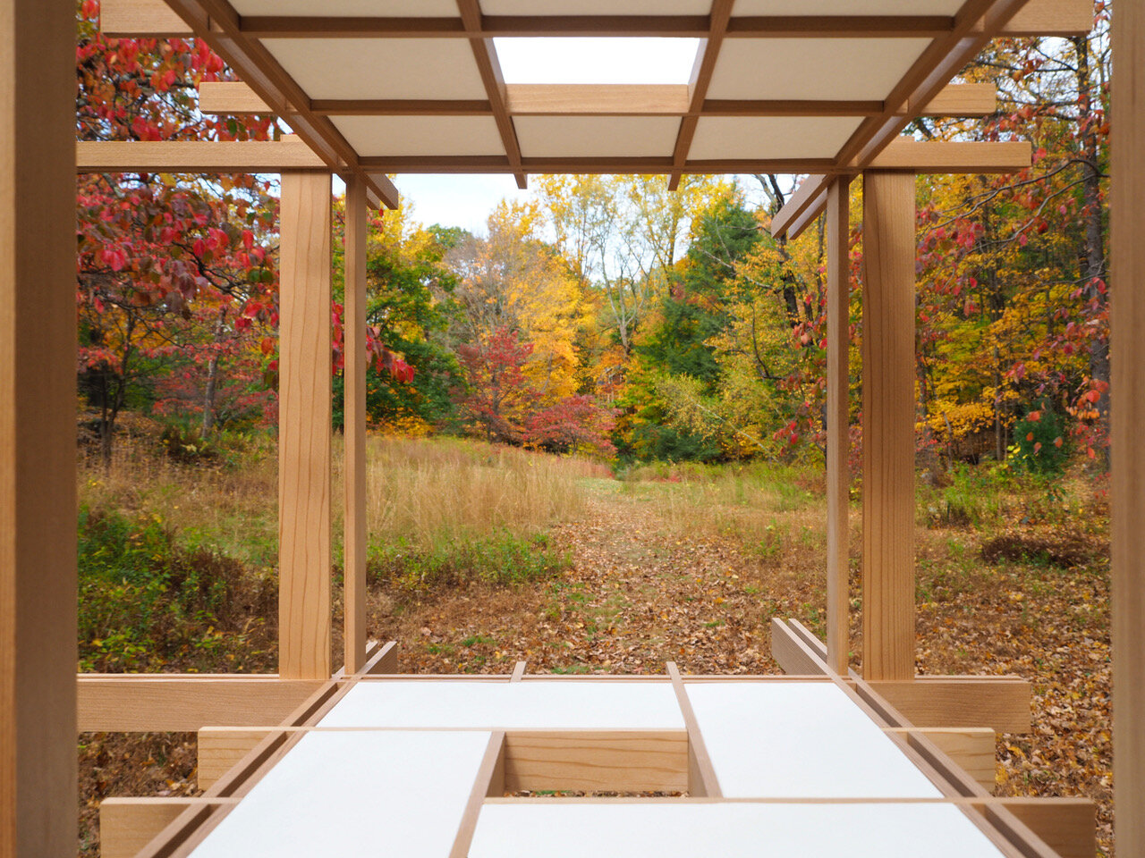 ysdm_teahouse_manitoga_FALL meadow_2.jpeg