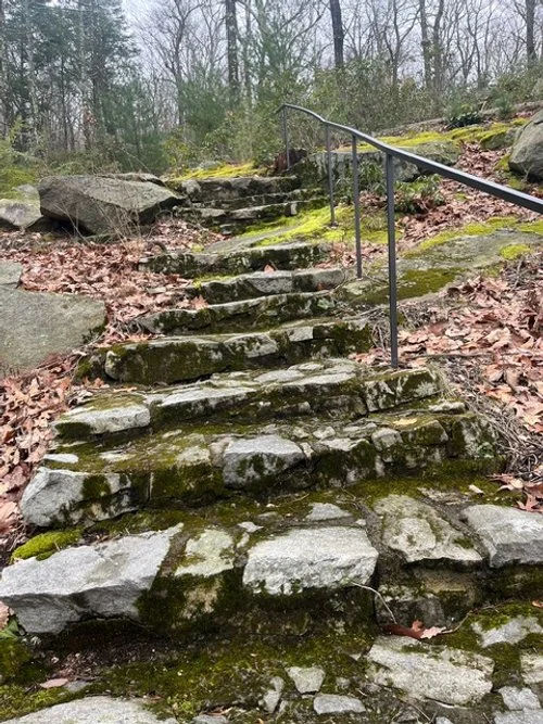 Tour Path, 1950s Steps