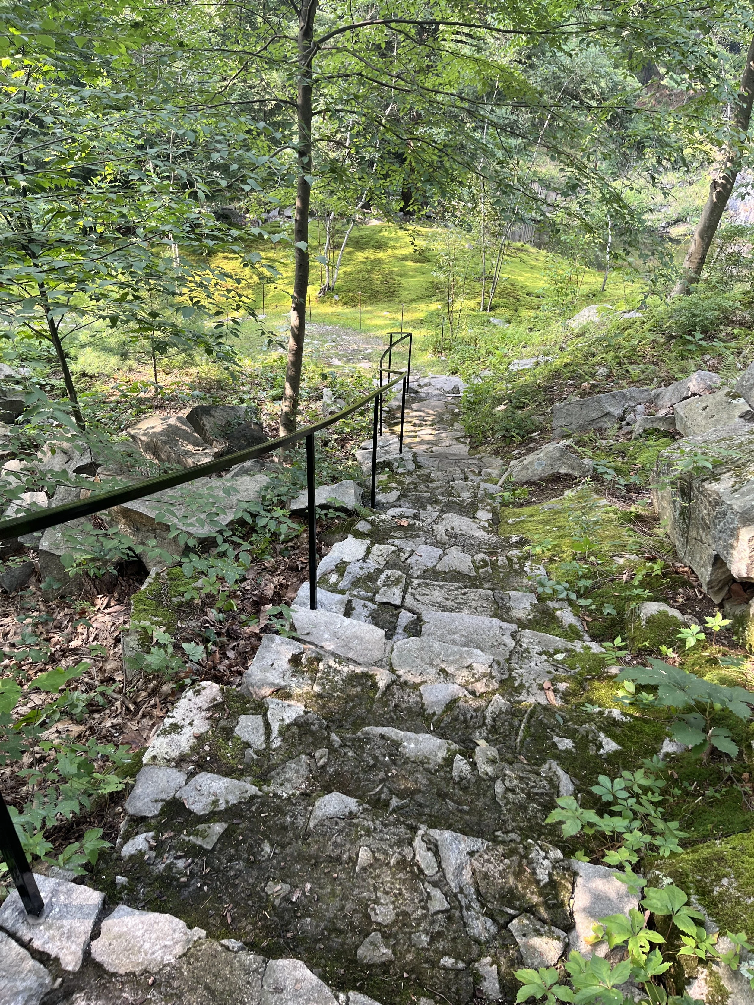 Tour Path, 1950s Steps