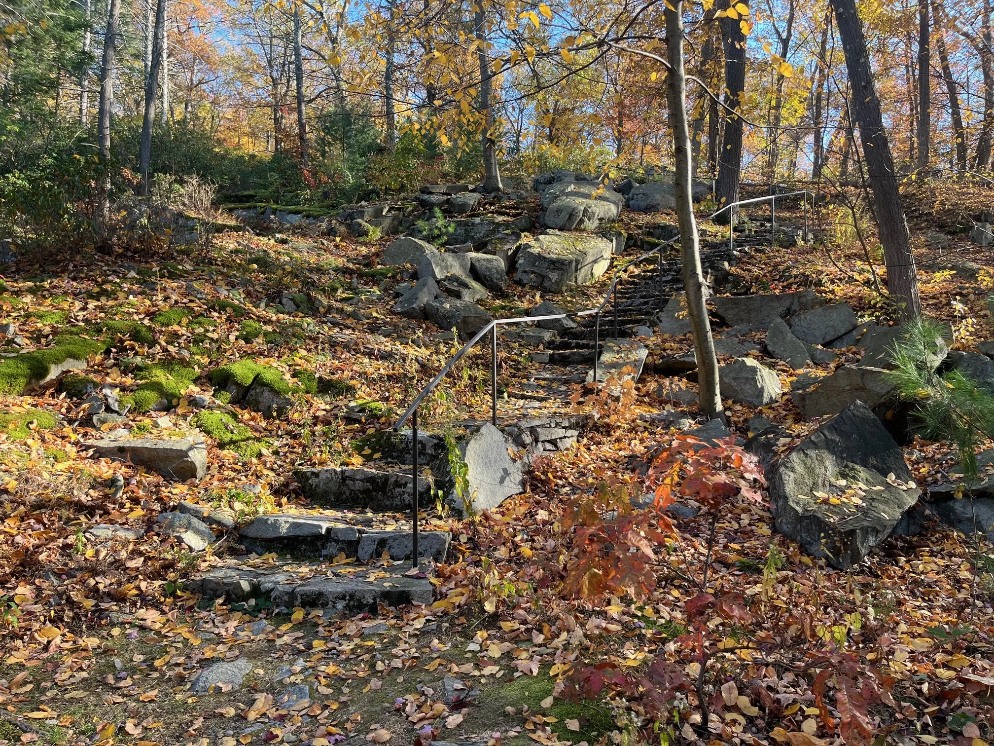 Tour Path and 1950s Steps