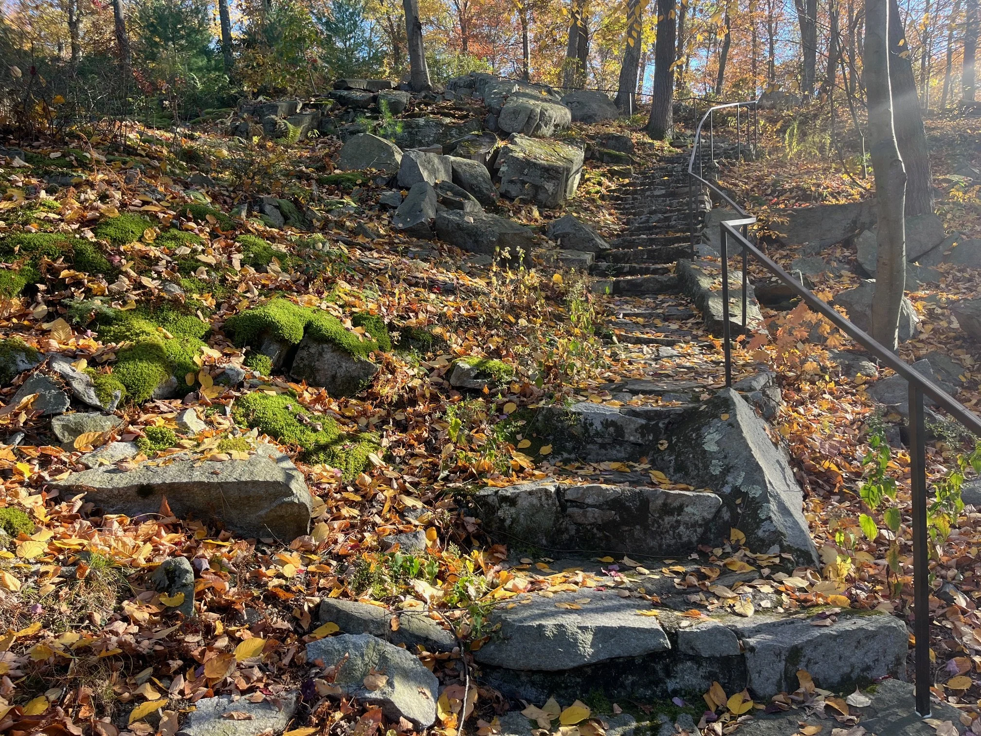 Tour Path, 1950s Steps