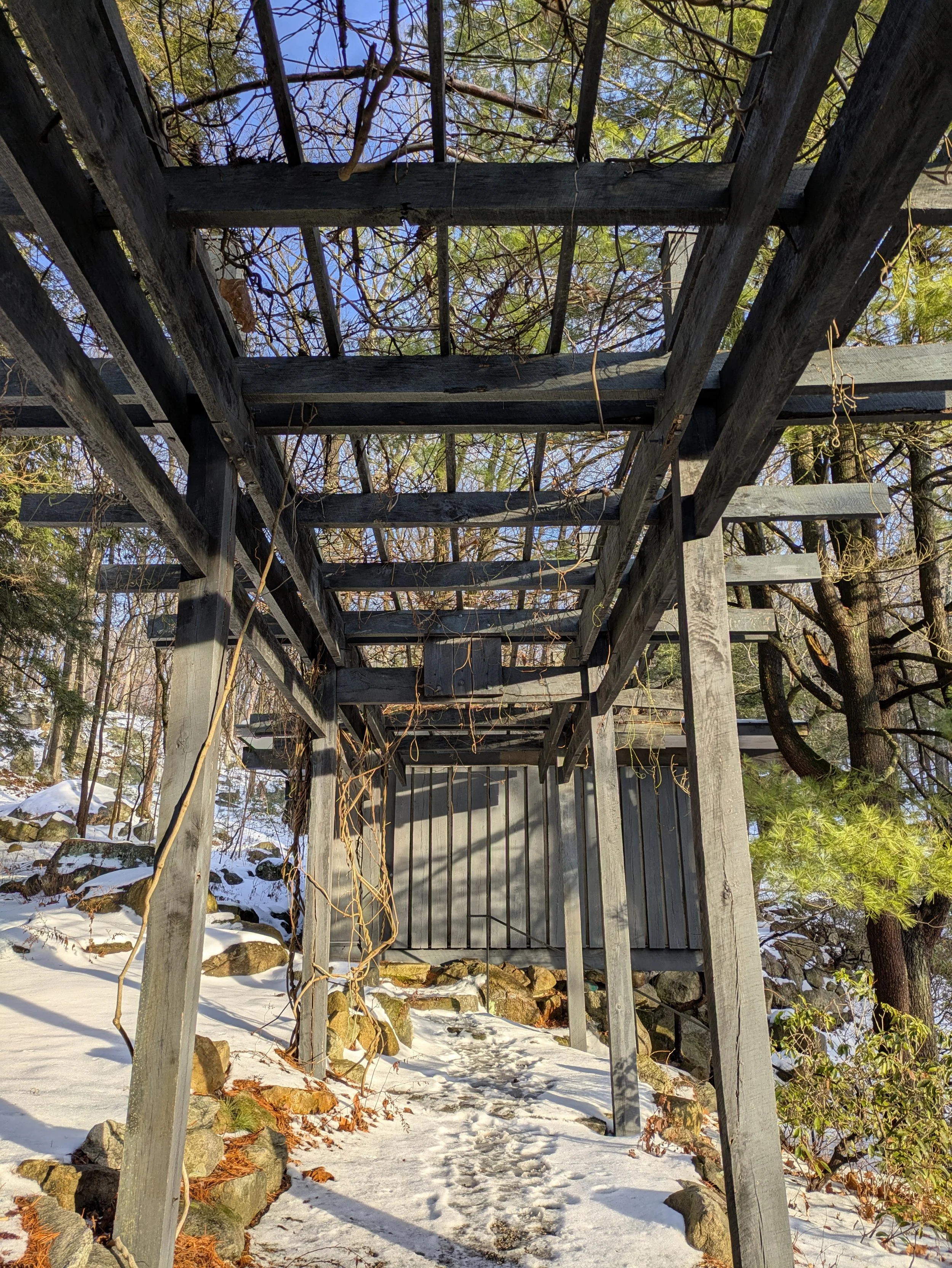 Pergola_repair_FINAL_2_20250213.jpg