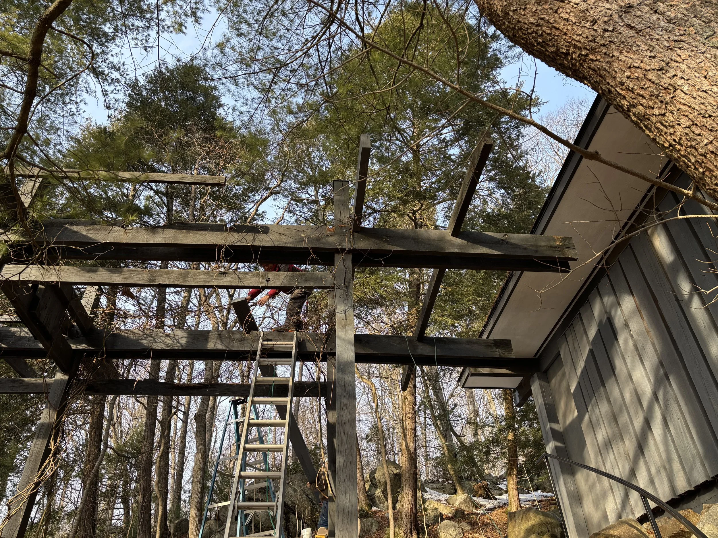 Pergola_repair_PLANK_REMOVAL_20250418.jpg