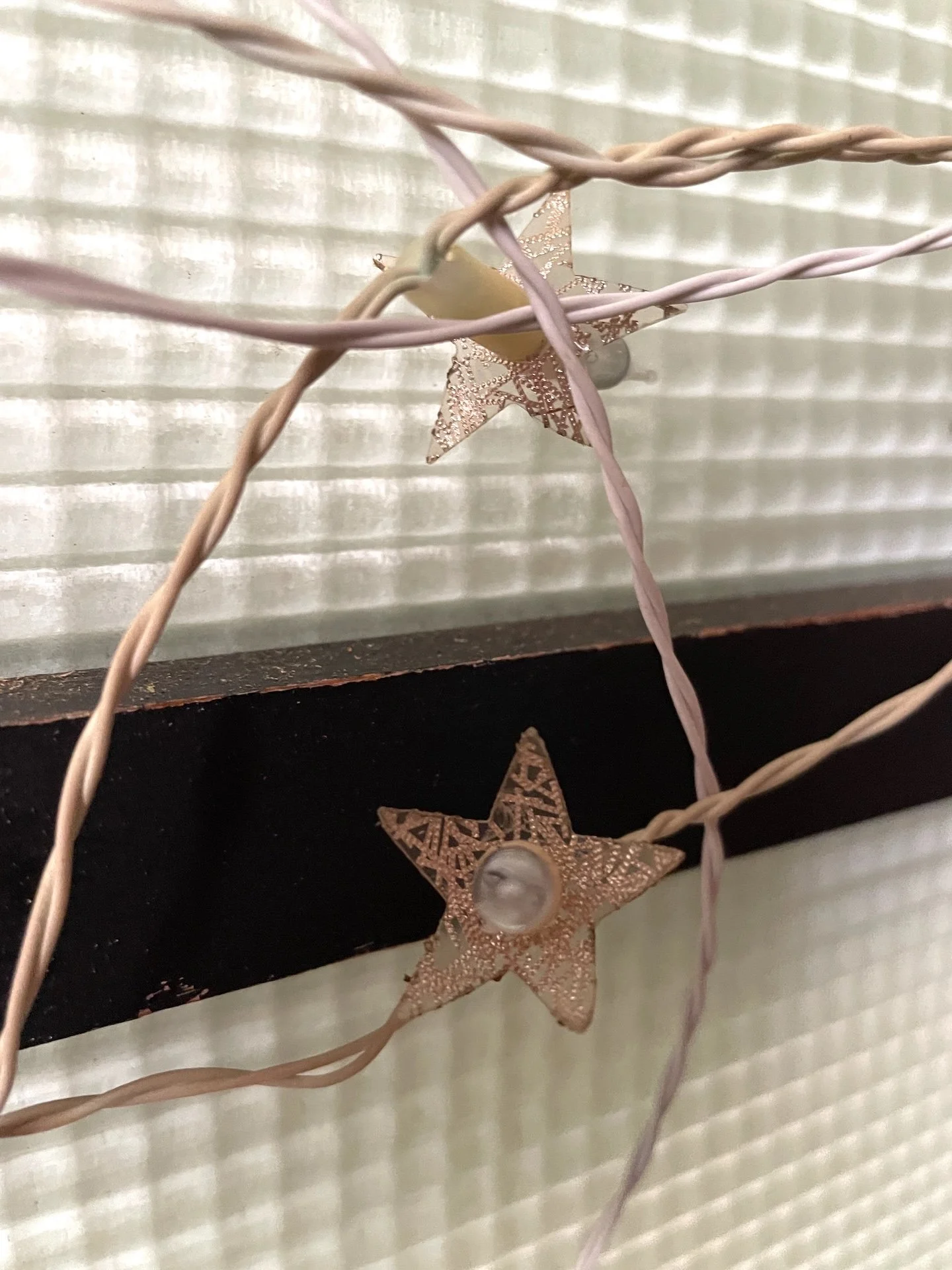 Star Light Bulbs_FRONT + BACK.JPG