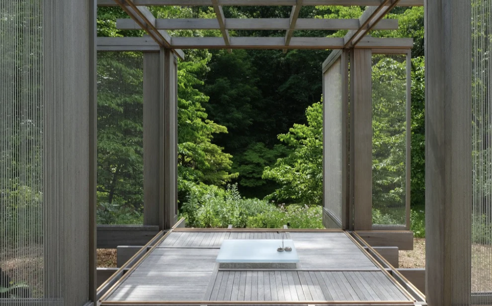 2026 Y S D M TEA HOUSE