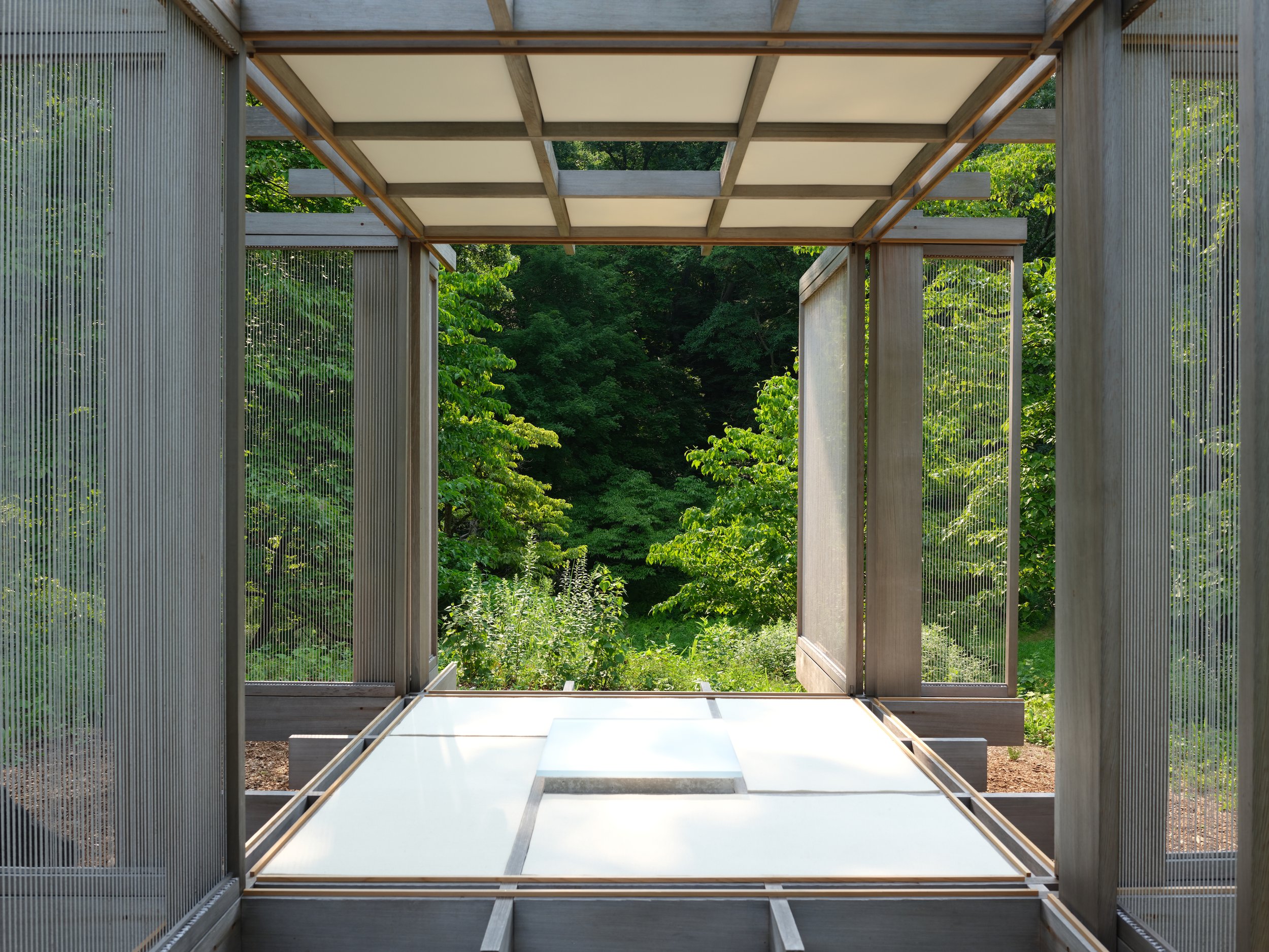 2026 Y S D M TEA HOUSE