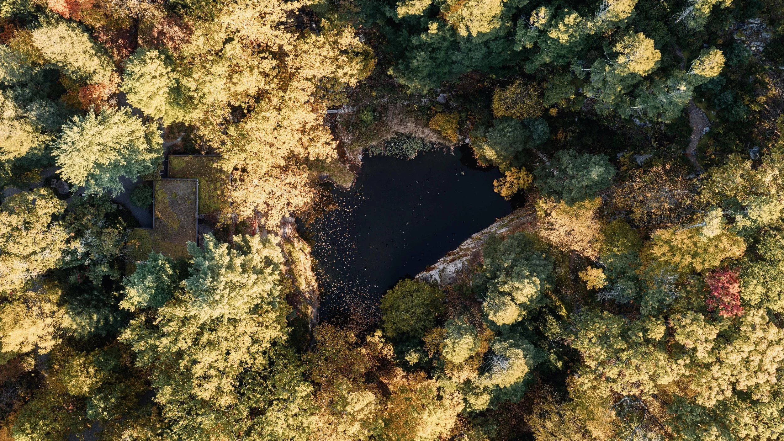 VolvoSelects-34.jpg