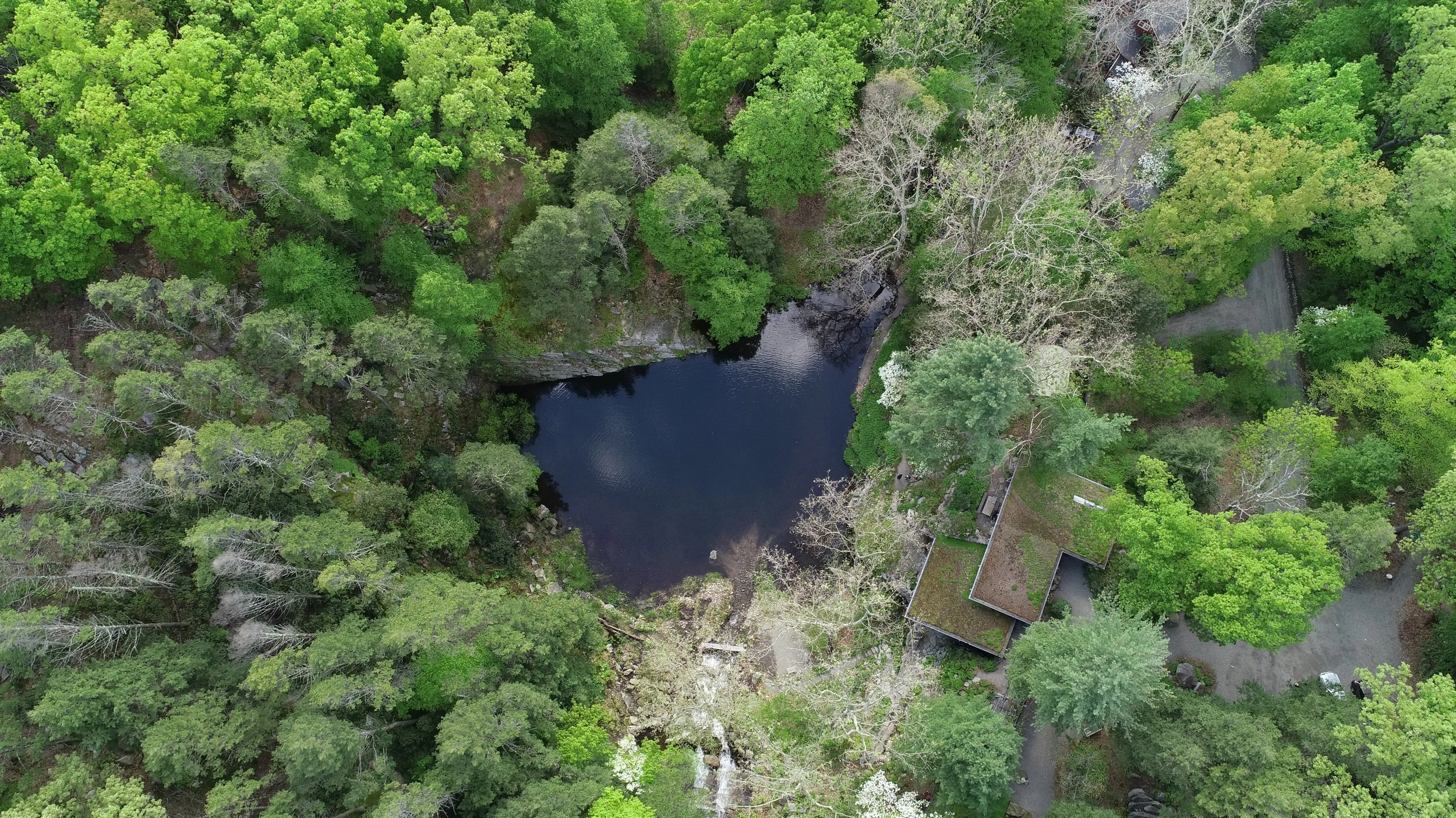 DJI_0080.JPG
