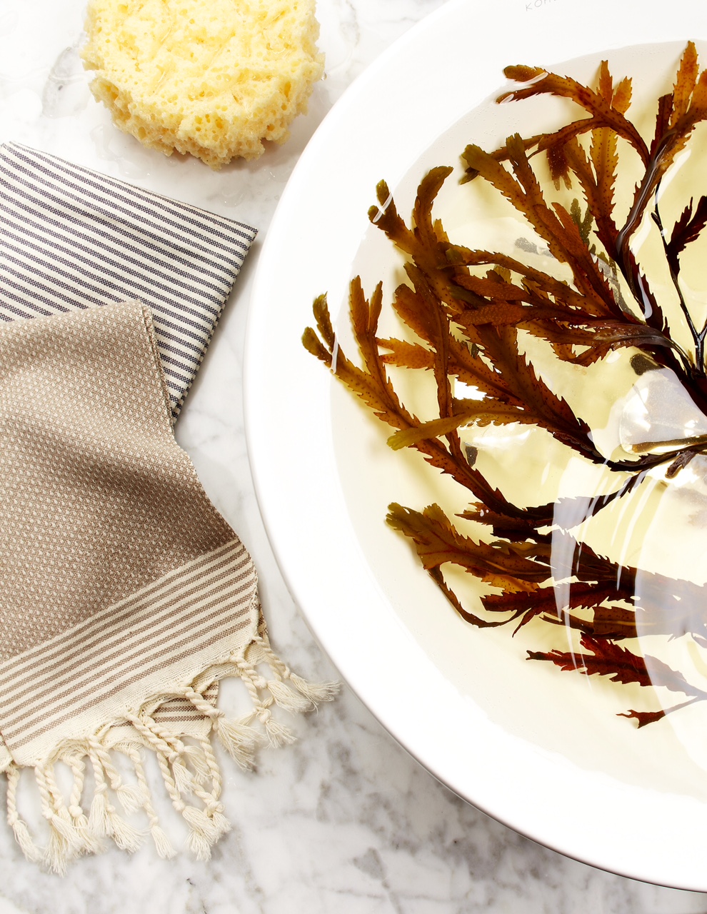 FMRV4_LABurket_Seaweed_Bath_501_Final.jpg