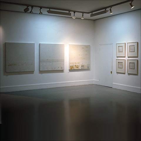 Gallery View