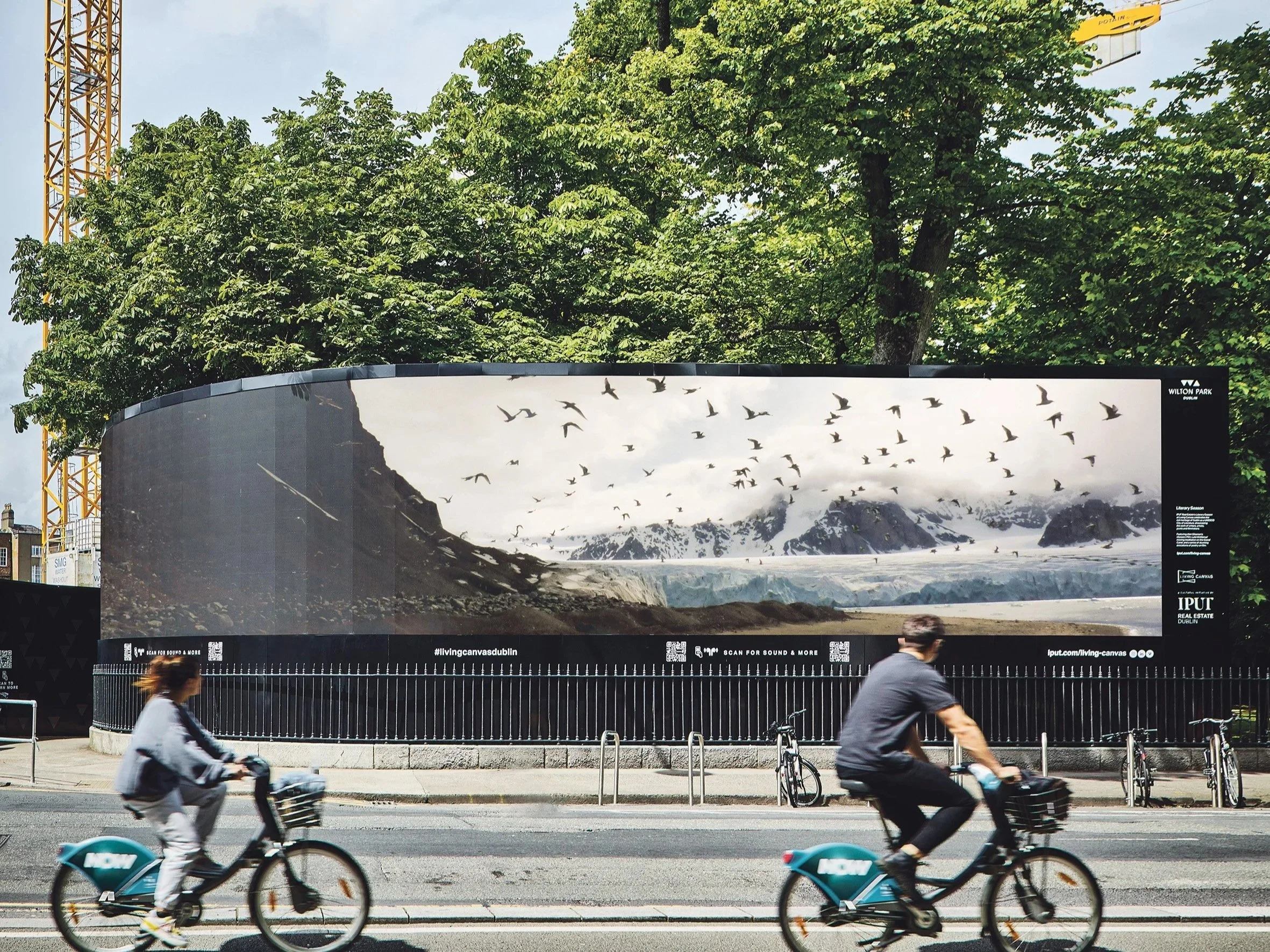 Living Canvas | Wilton Park Irl, 2023