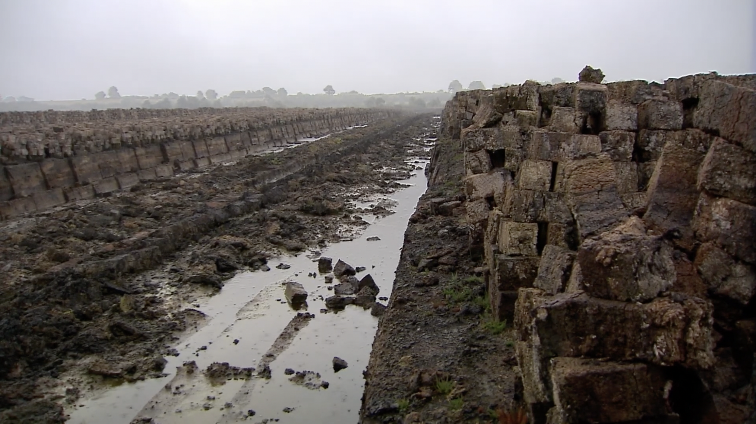 Photo of a bog