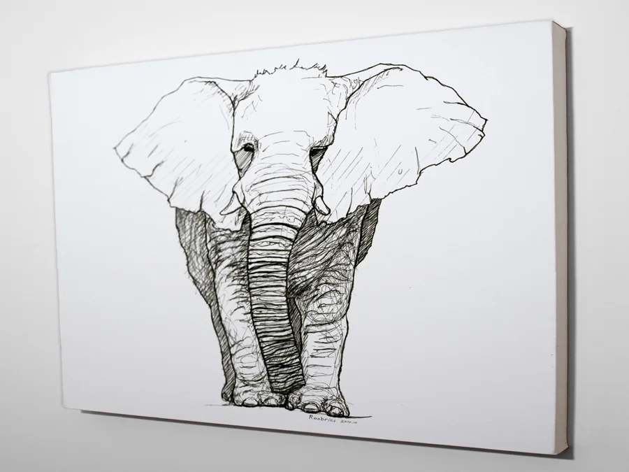 Canvas Print Roobrics Elephant Sketch.jpg