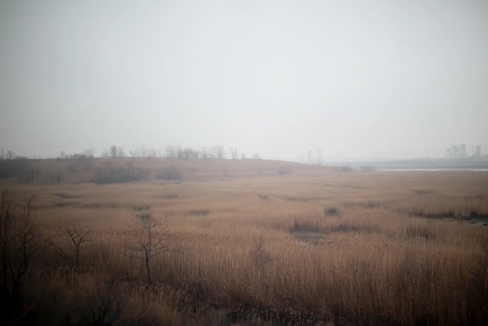 _MG_1739.jpg