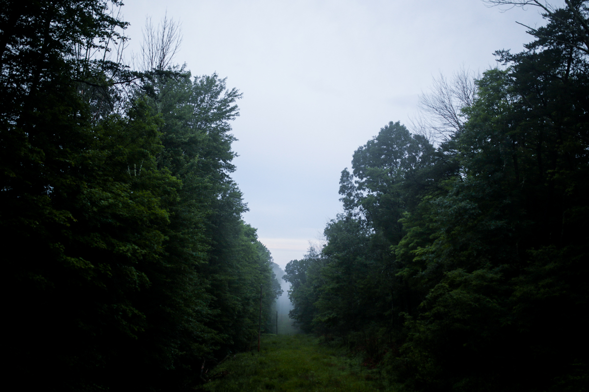 _MG_1039.jpg