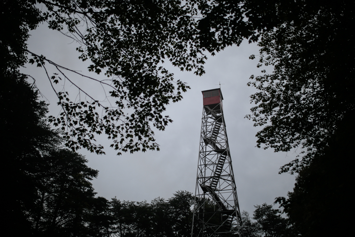 _MG_1042.jpg