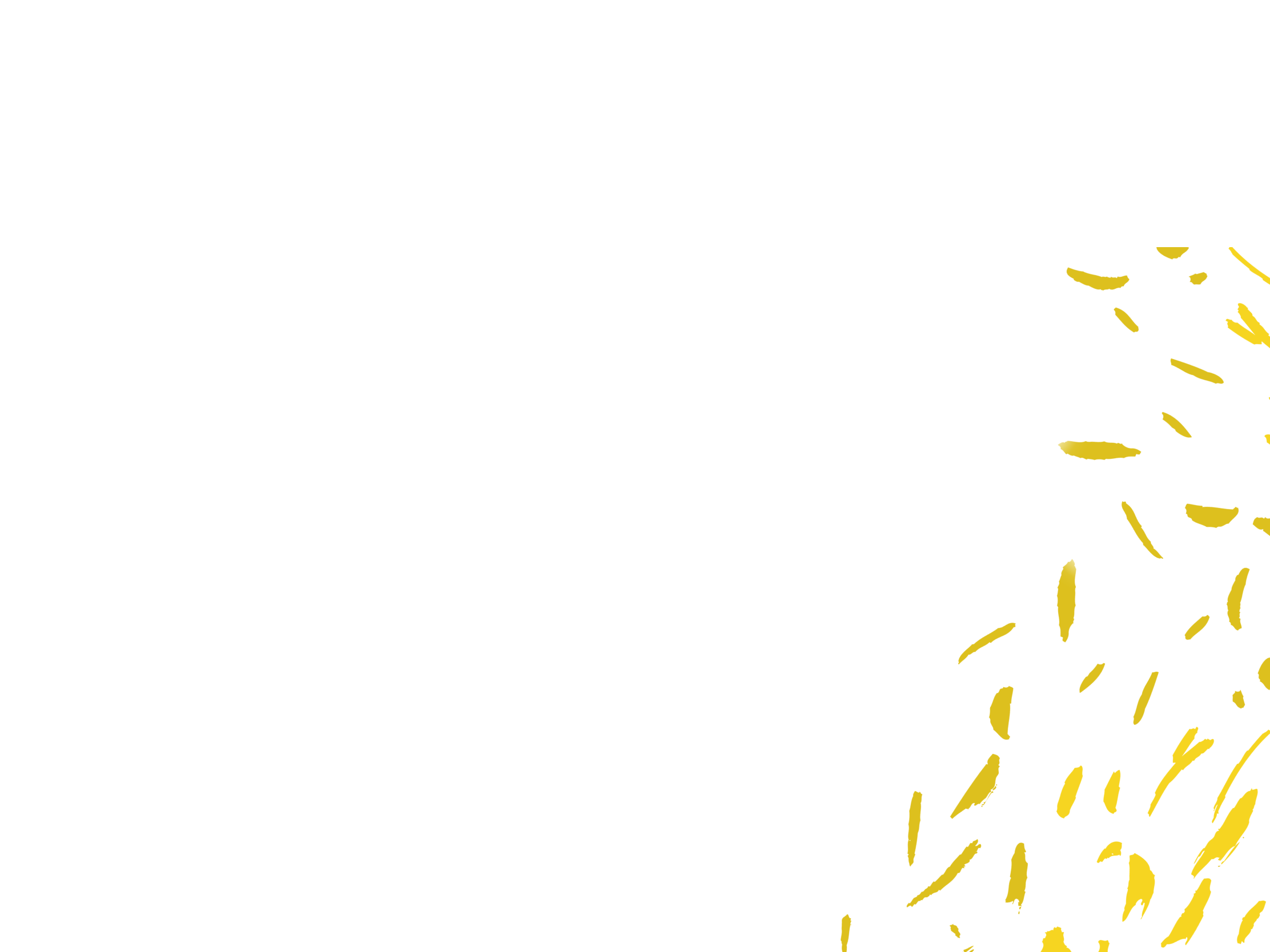 Untitled_Artwork.png