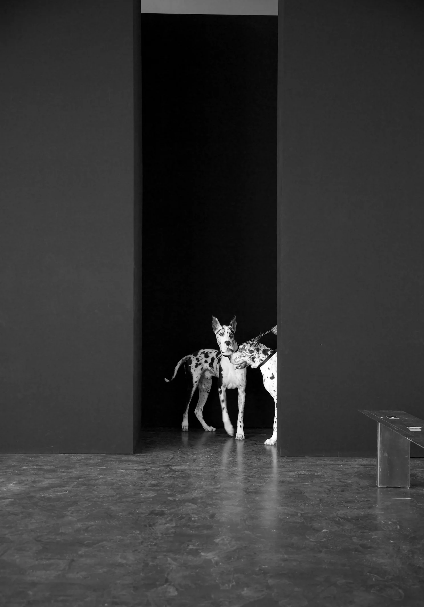 HBA 4.jpg