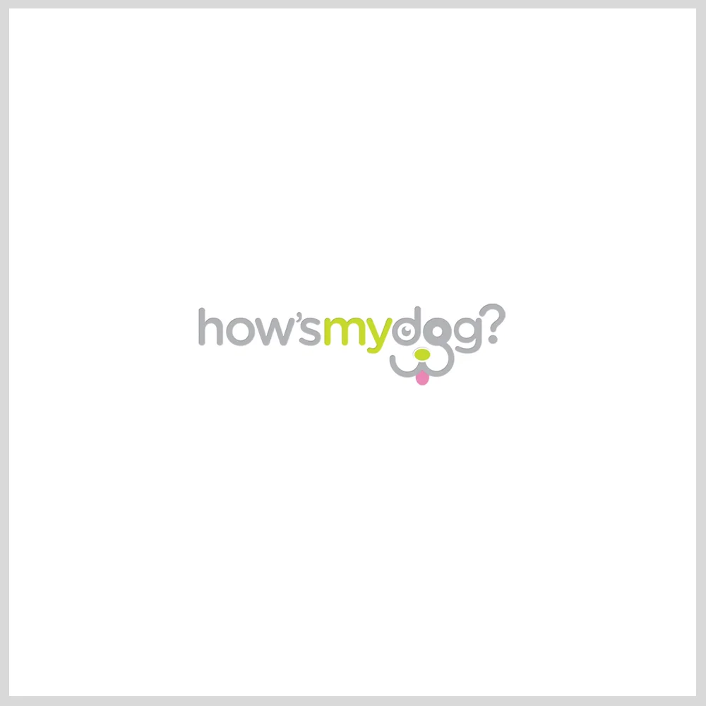 How'sMyDog.jpg