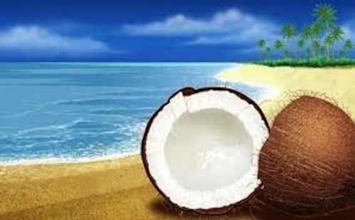 coconut.jpeg