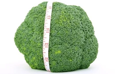 appetite-1239159__340.jpg