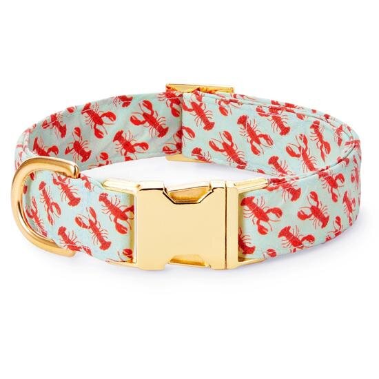 catch-of-the-day-dog-collar-from-the-foggy-dog-854960_550x550.jpg