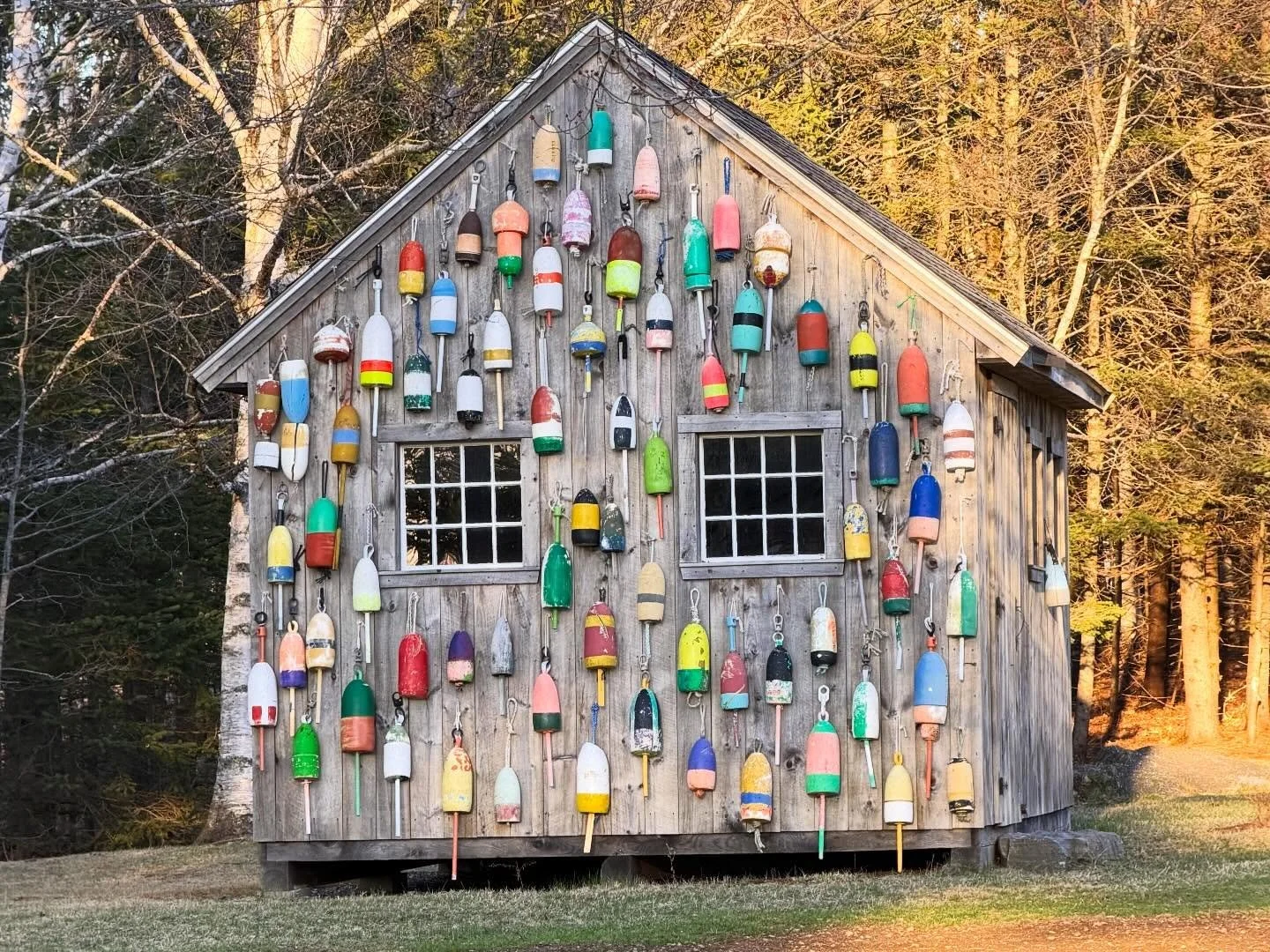 If it wasn&rsquo;t raining, and if I wasn&rsquo;t working, Ellis and I were outside this past week. When inside, we planted seeds and arranged the daffodils that are sneakily sprouting around the yard to urge along spring weather. Other projects incl