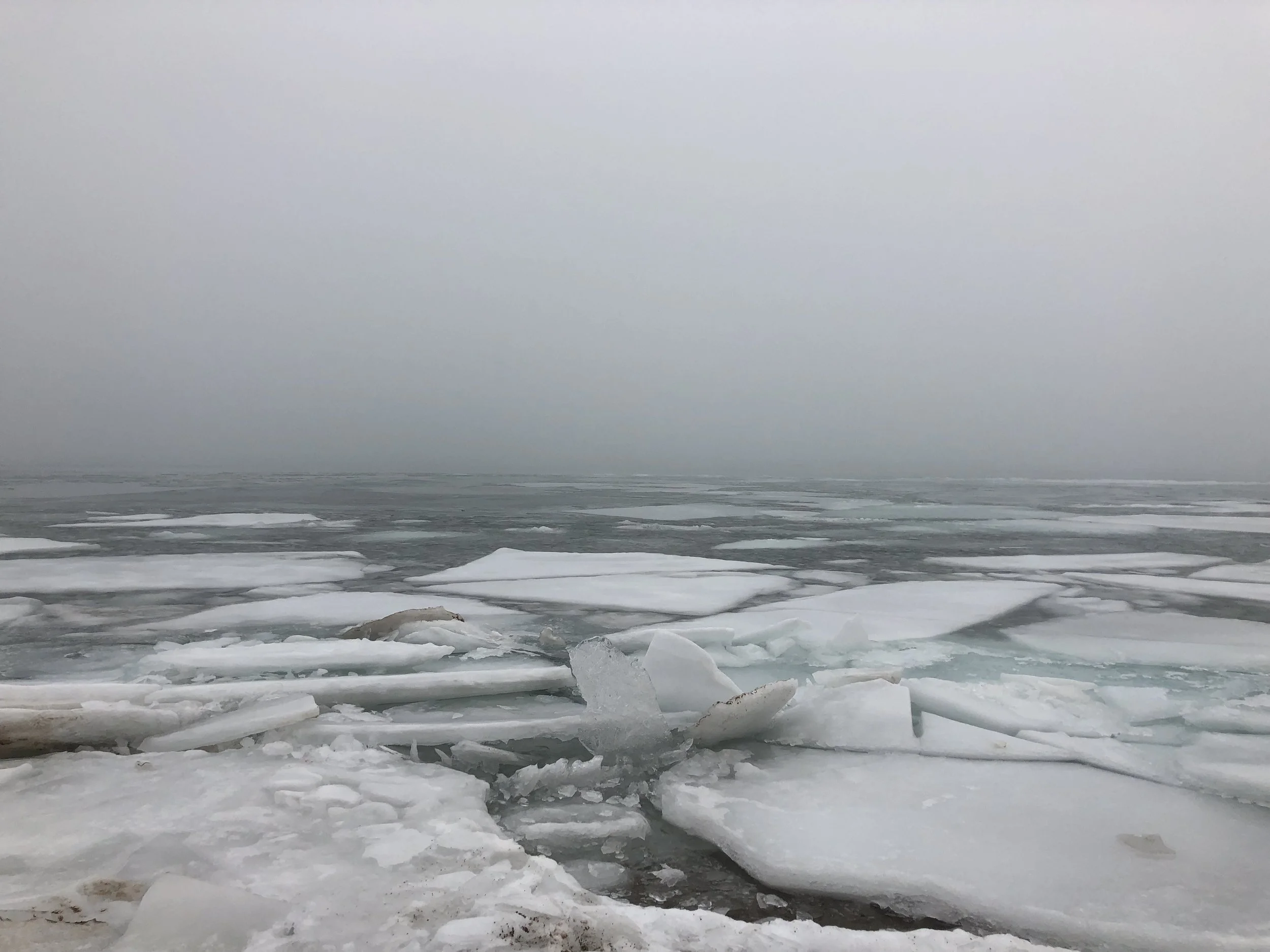February 2018