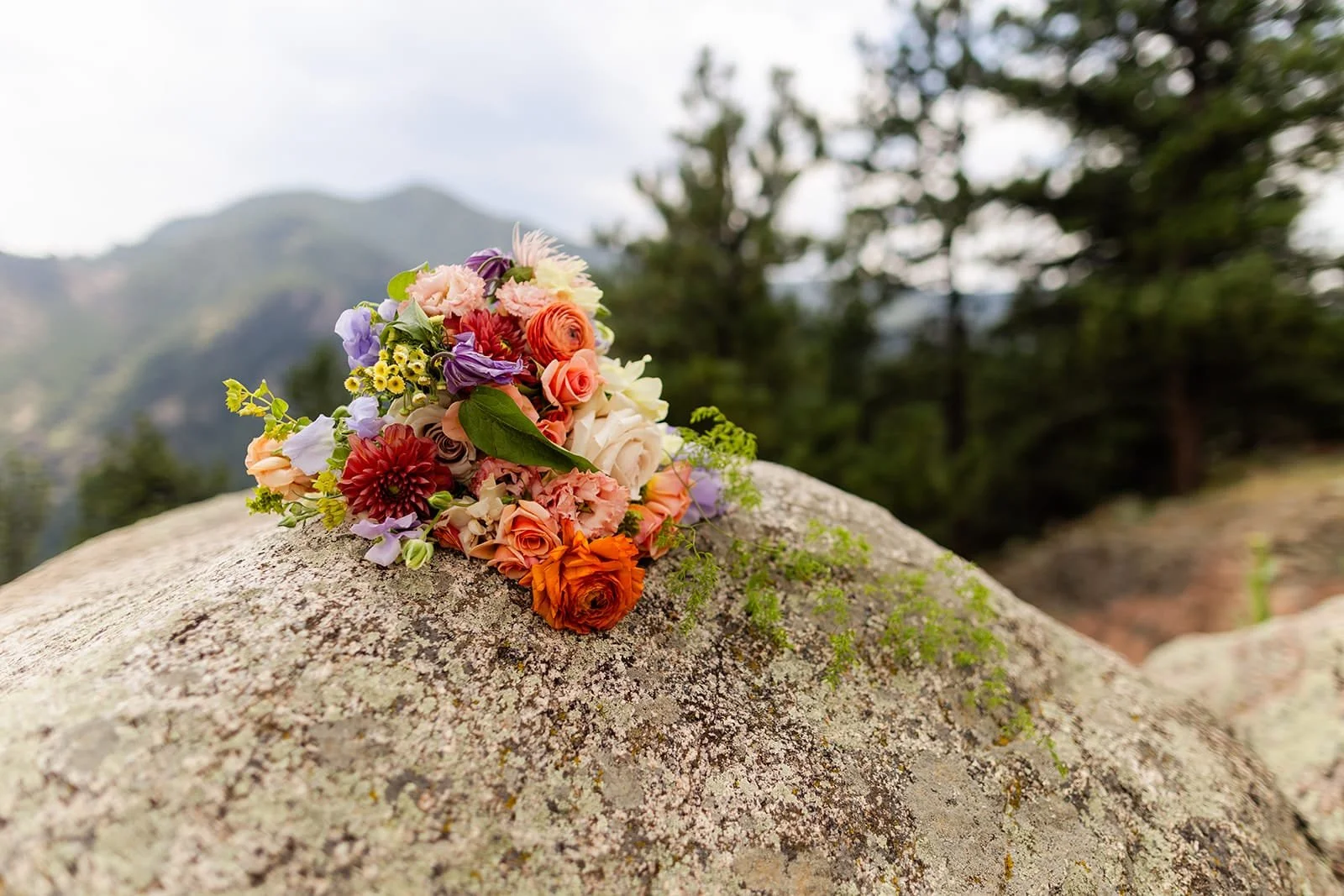 Karen-Daniel_Elopement-618_websize (1).jpg