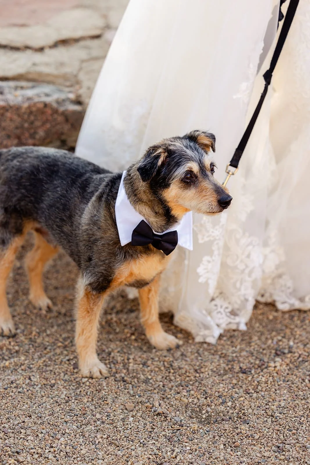 Stephanie-Eddie_Elopement-146_websize.jpg