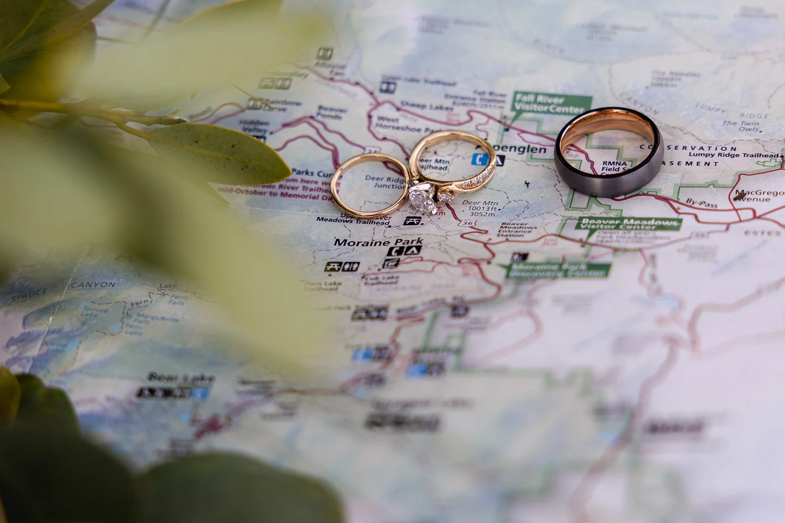 A closeup of a map of a national park with two wedding bands and an engagement ring placed on the map.