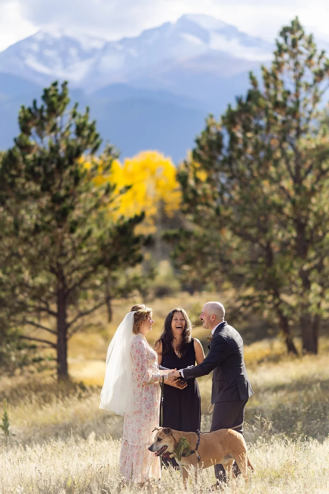 Officiant Lisa officiating an elopement ceremony with a couple and their two dogs in a field with fall colors at the base of a mountain.