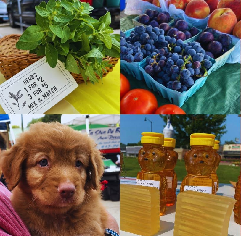 North End City Market