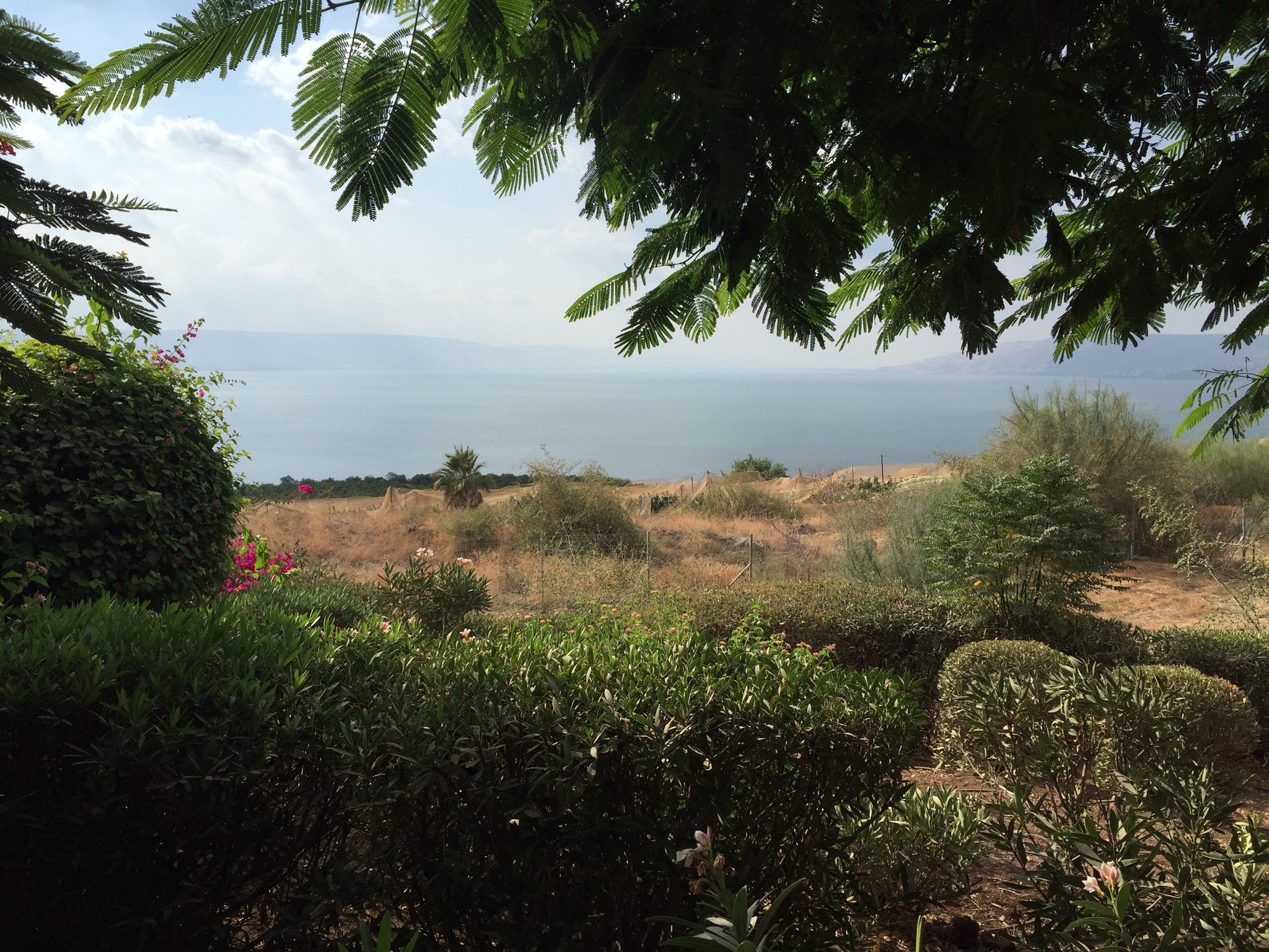 Day 6: Nazareth Sunrise, Jordan River, Mount of Beatitudes, Sea of Galilea, Loaves & Fishes Church, Jacob's Well