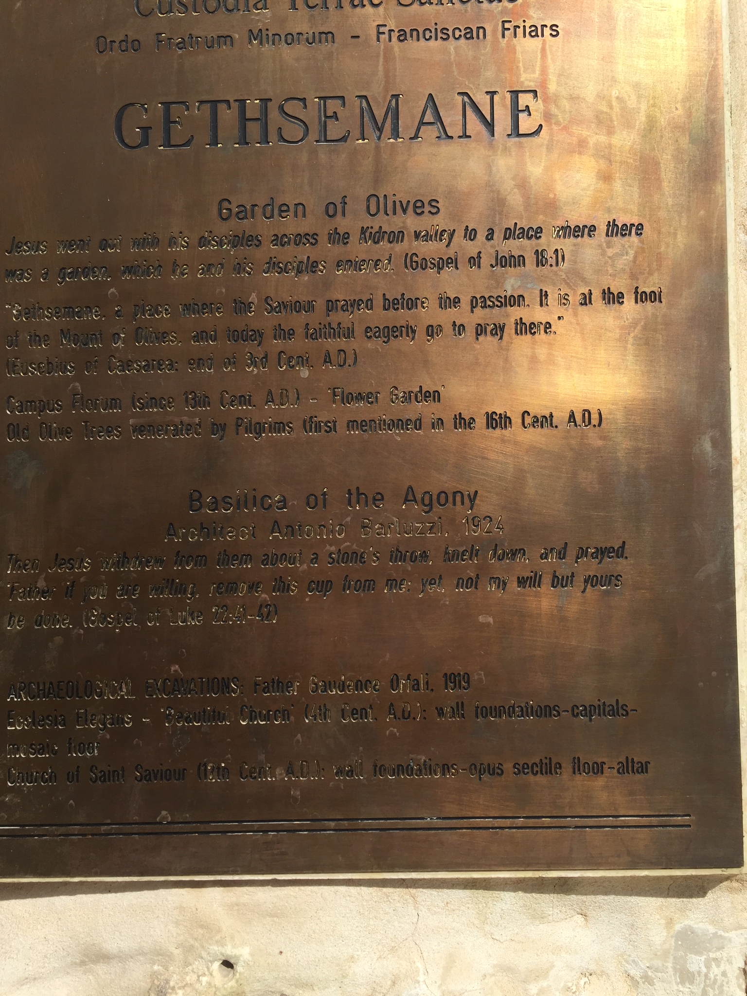 Days 7/8: The last week of Jesus - Bethpage (where Jesus wept), Garden of Gethsemane, Rock of the Last Agony, Gallicantu (where He was denied by Peter)