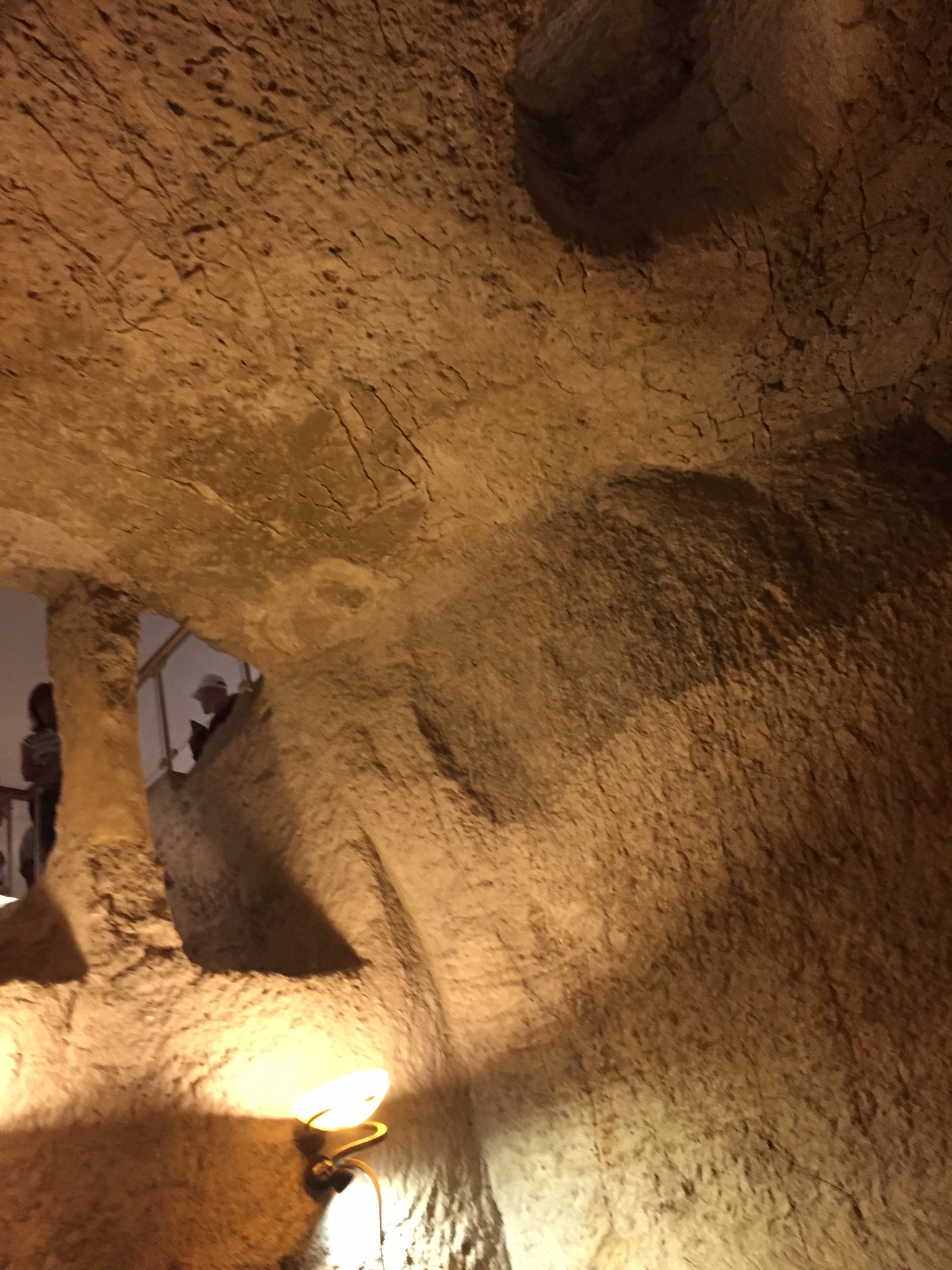 Days 7/8: The last week of Jesus - Bethpage (where Jesus wept), Garden of Gethsemane, Rock of the Last Agony, Gallicantu (where He was denied by Peter)