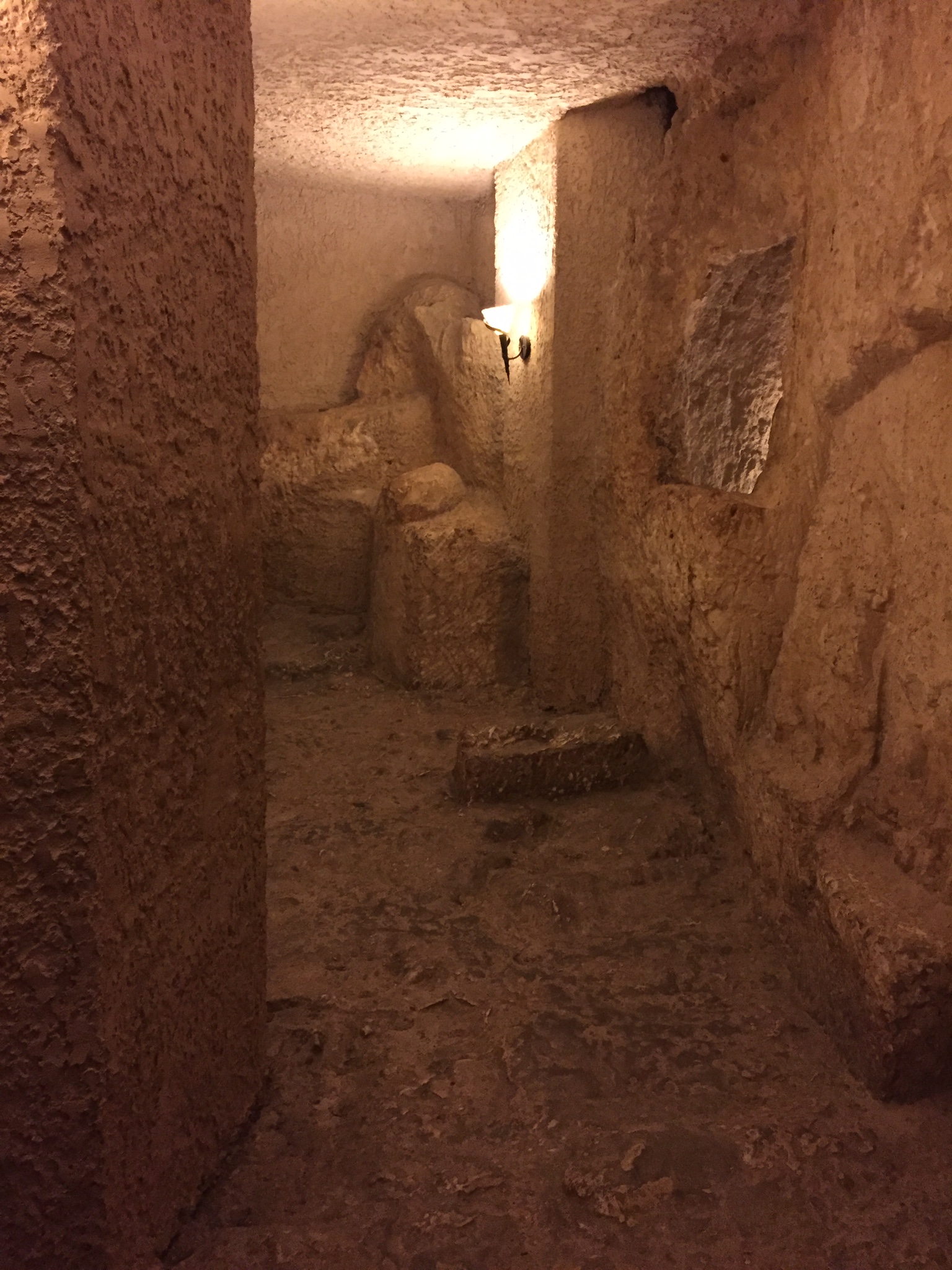 Days 7/8: The last week of Jesus - Bethpage (where Jesus wept), Garden of Gethsemane, Rock of the Last Agony, Gallicantu (where He was denied by Peter)