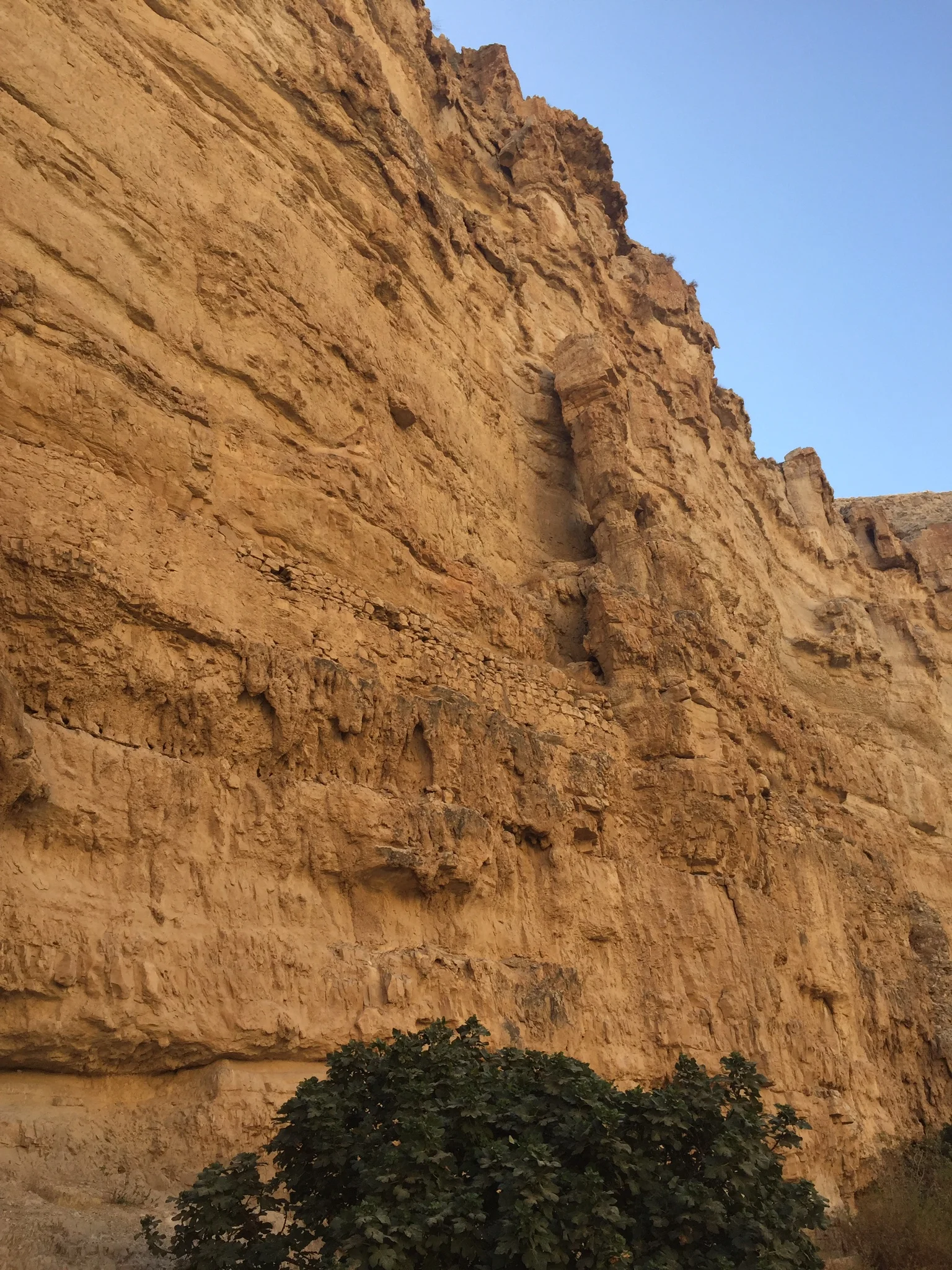 Day 10: Jericho, Dead Sea, St. George's Monastery in the Judean Desert