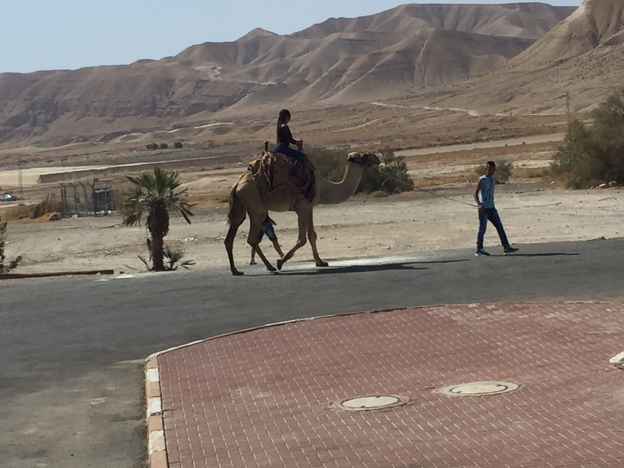 Day 10: Jericho, Dead Sea, St. George's Monastery in the Judean Desert