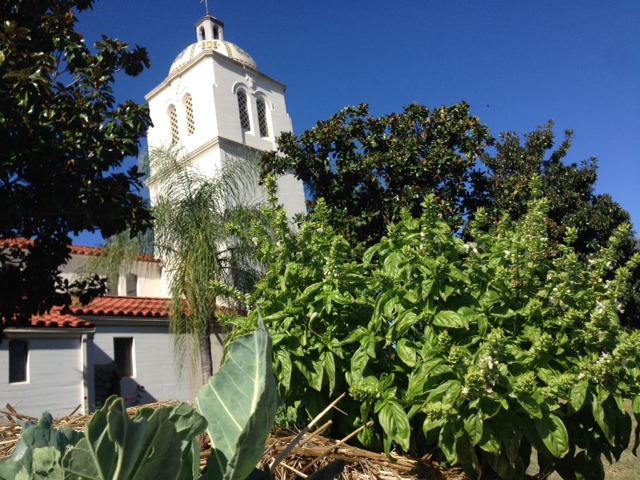 Garden Photo 8.jpg