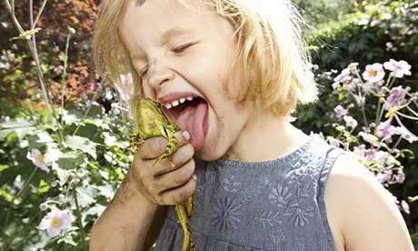 3 Sub-Categories of Nature Playgrounds