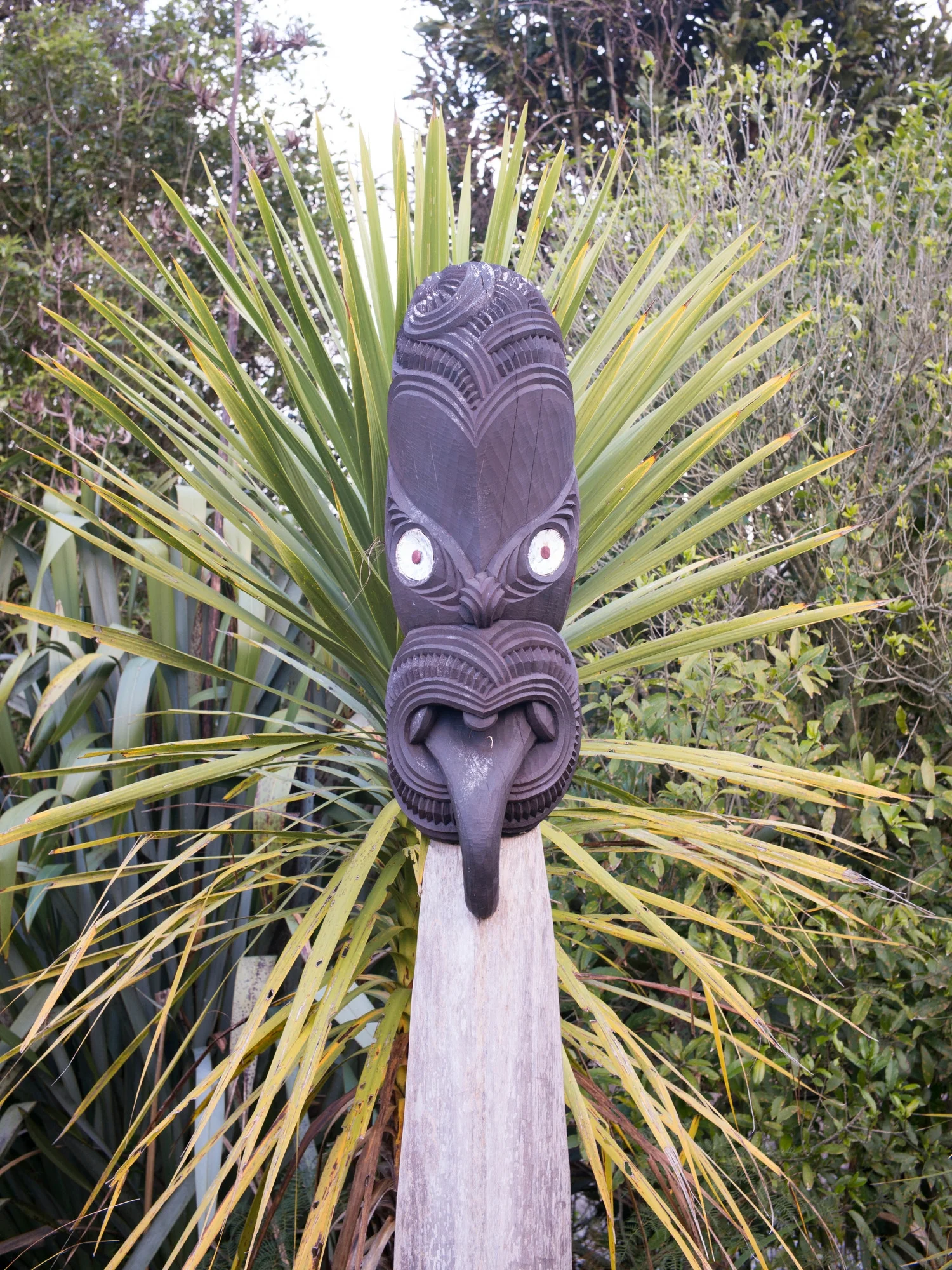 Te Parapara Maori “Productive” Garden