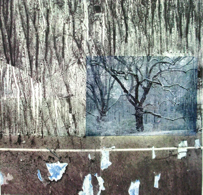 "Clearing" 2010 solvent transfer and laser print variable sizes available