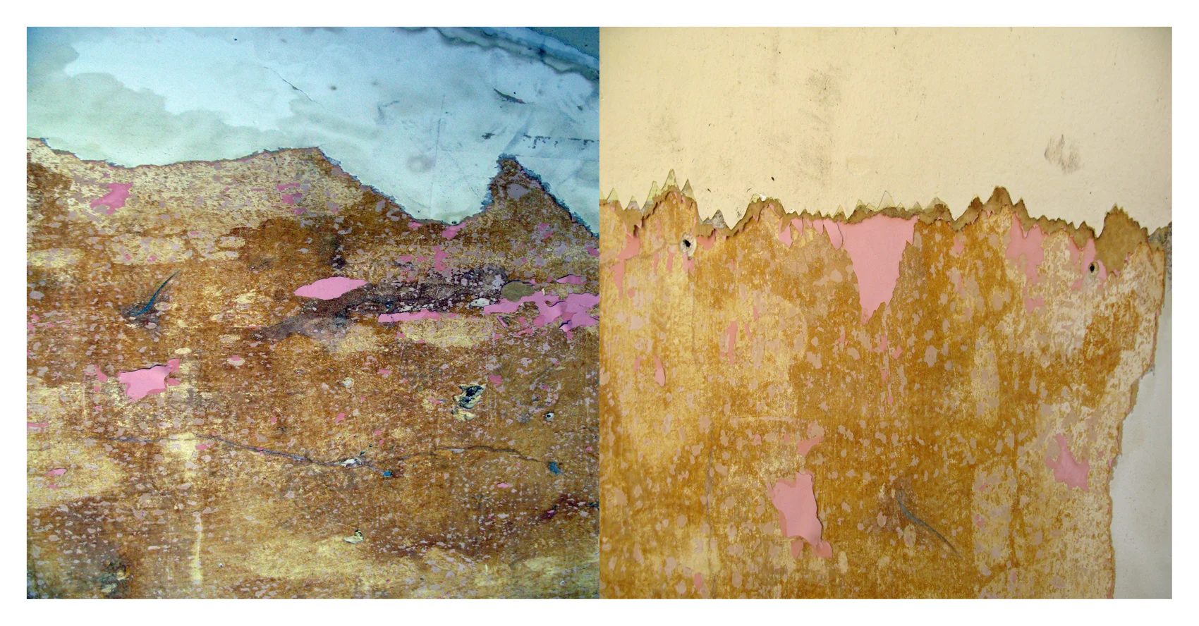 "Torn Landscape" 2014 18" x 36" digital print variable sizes available
